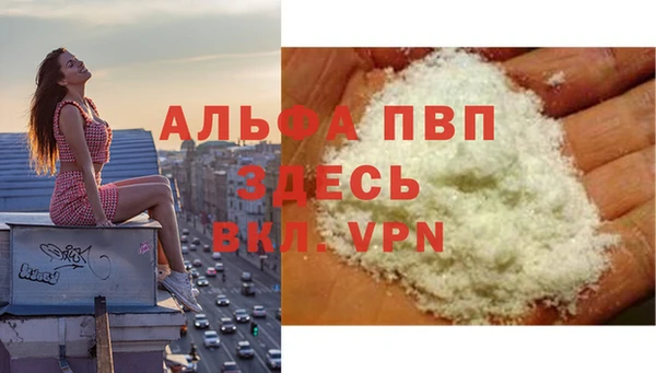 соль ск Александровское