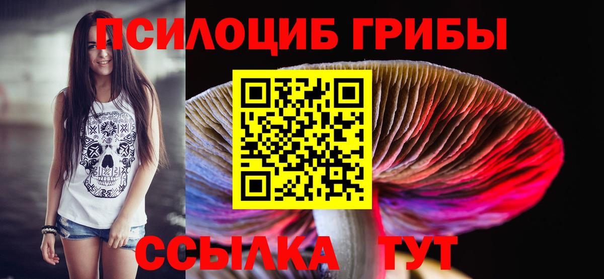 Сочи  Псилоцибиновые грибы Cubensis  Вход с VPN 